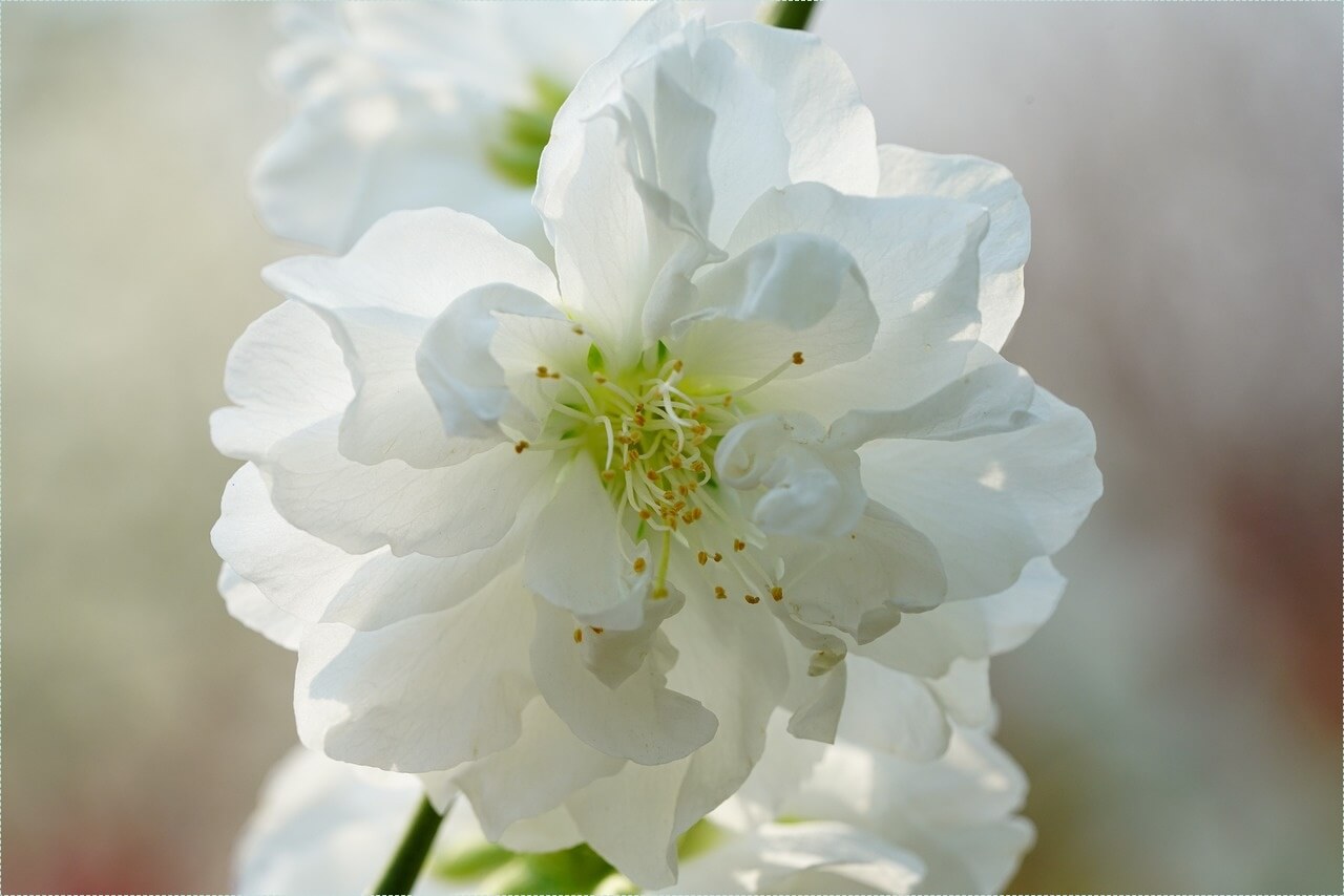 우리은행 정기예금 금리