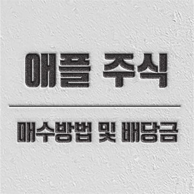 애플 주식 사는 방법 및 실적 및 배당금 소개