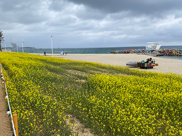 강릉 사근진 해변민박촌 해변경관정비 후 모습 사진 이미지