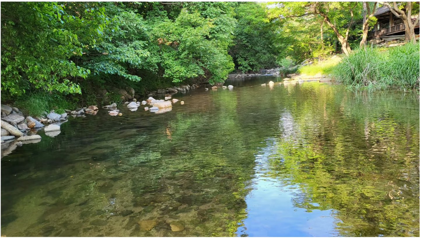 캠핑장 시원한 계곡