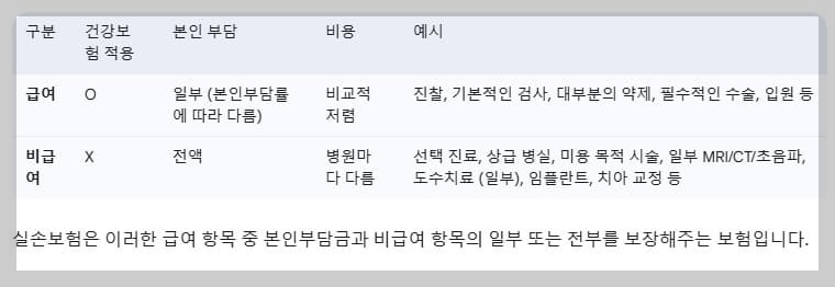 실손보험