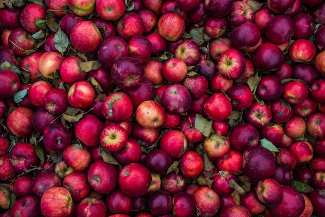 Food waste