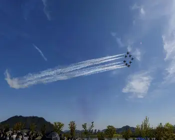 세종 축제 블랙 이글스_3