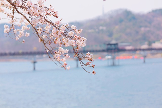 선상 수상길 사진