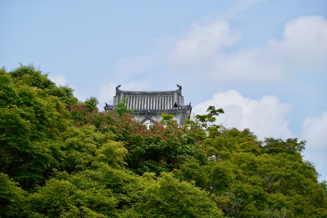 2025년 청량리 롯데캐슬 줍줍 10억 시세차익, 지금 당장 알아야 할 5가지 팁 관련 이미지 1