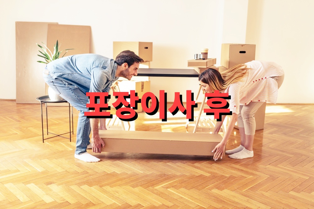 포장이사 후 빠른 생활 복귀 노하우