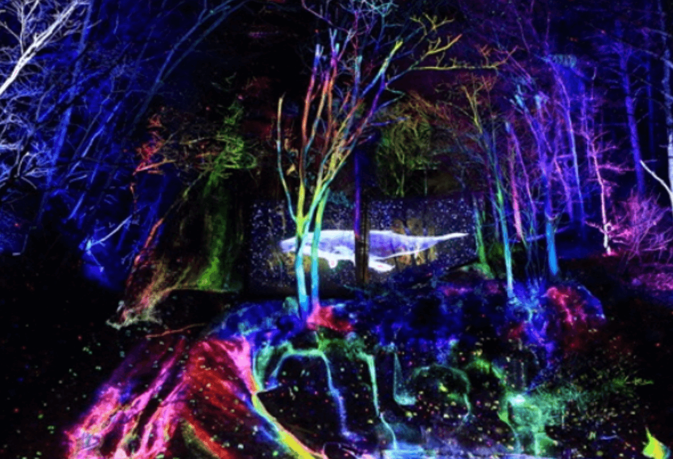 2024년 2월 강원도 여행 축제 갈만한 곳 추천