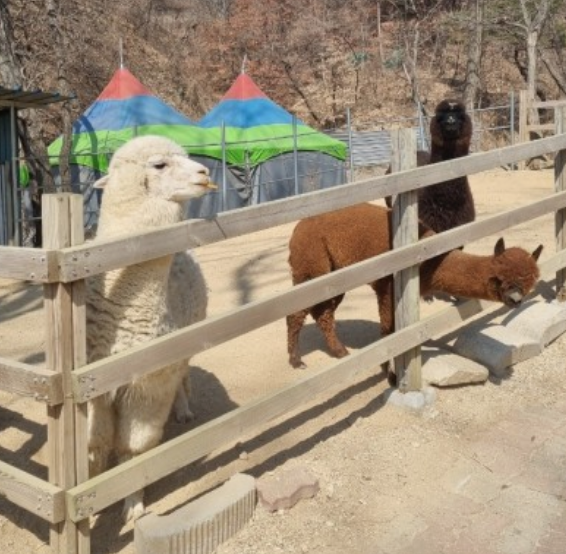 경북 구미 가볼만한곳 여행지 TOP 7곳