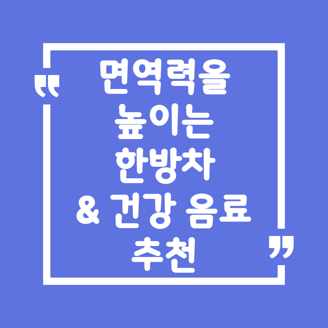 면역력을 높이는 한방차 &amp; 건강 음료 추천