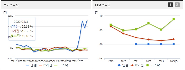 엔켐 주가 수익율 지표