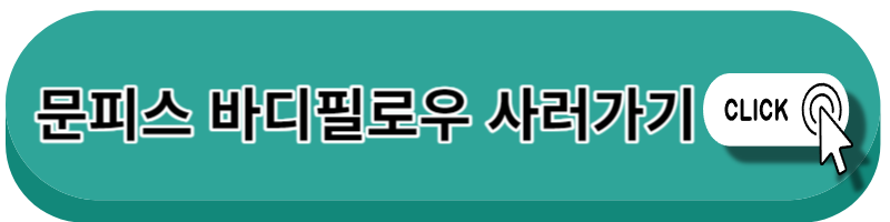 임산부바디필로우