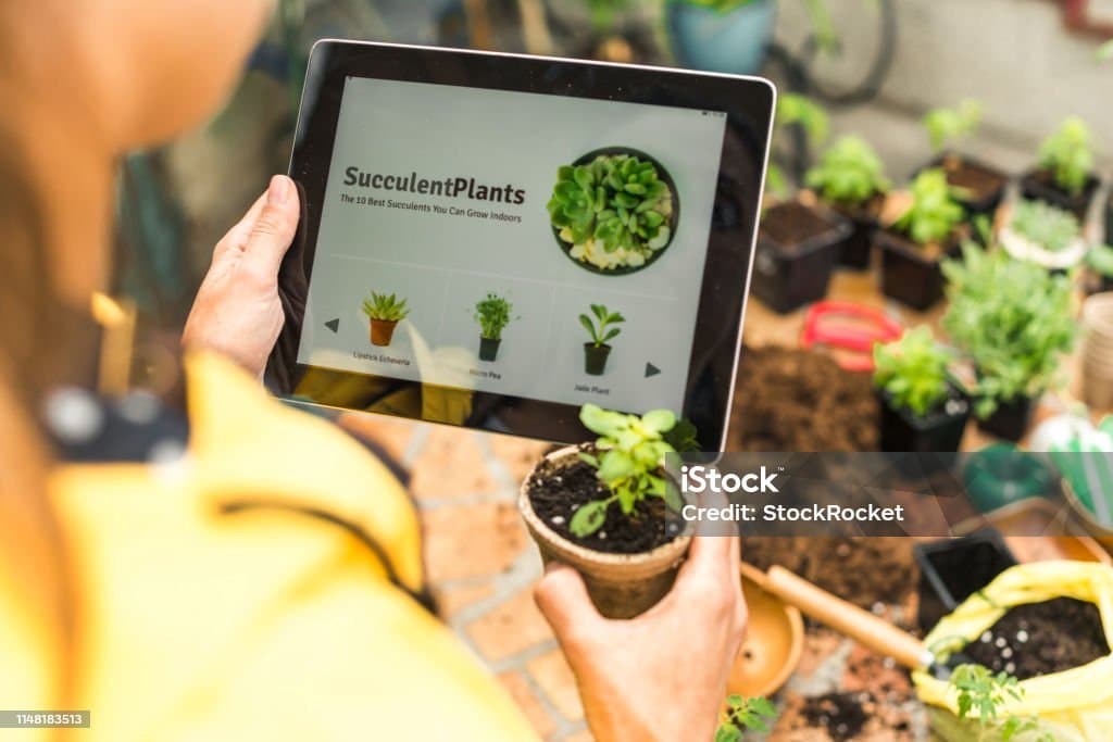 스마트 기기로 시작하는 가드닝