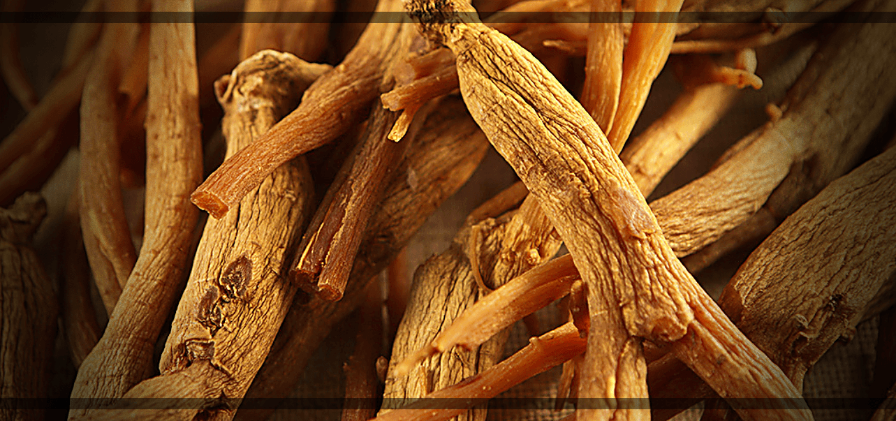 생-홍삼
