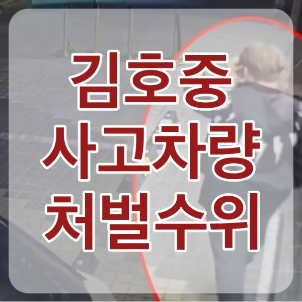 어두운 도로 우측 검은 잠바 검은바지 통화를 하는 남자 뒷모습에 붉은 동그라미 테두리 위 흰테두리 붉은 글씨 김호중 사고차량 처벌수위