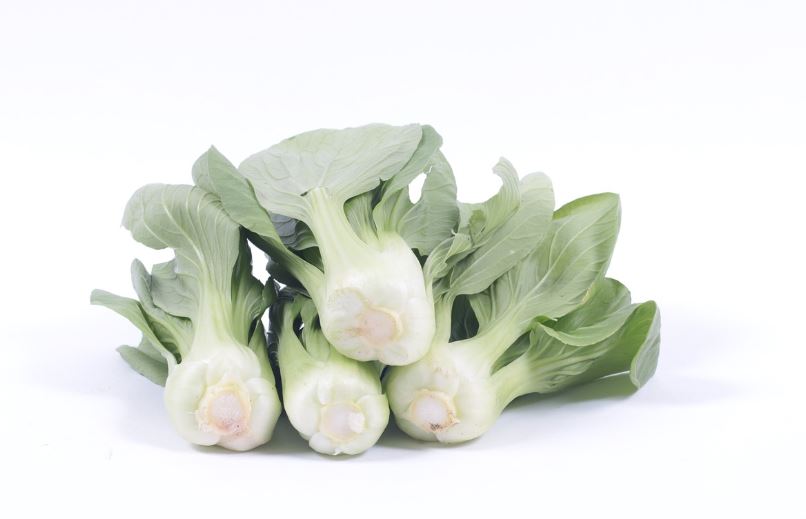 웰빙푸드 리스트 정리 건강한 식재료 안내서