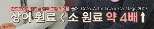 콘드로이친 복용법