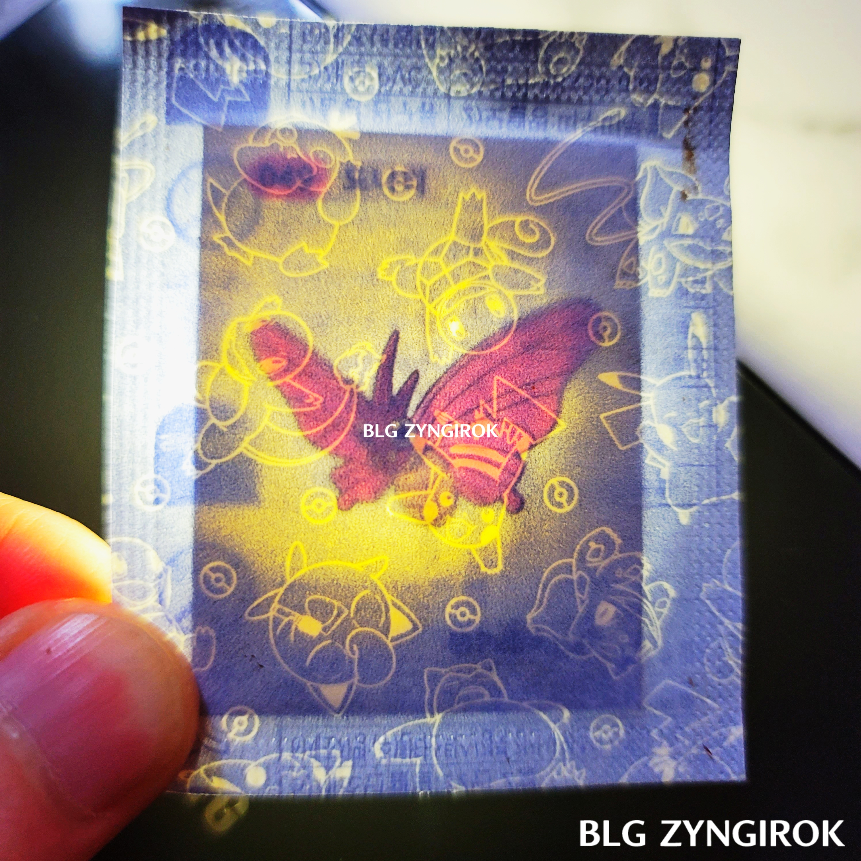 띠부띠부씰-도나리를-들고있다.