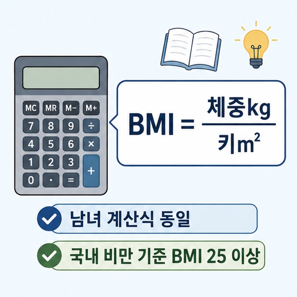 여성과 남성의 BMI 계산식이 같고 국내 비만 기준이 BMI 25 이상임을 설명한 이미지