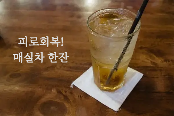매실 효능 매실액기스 매실청