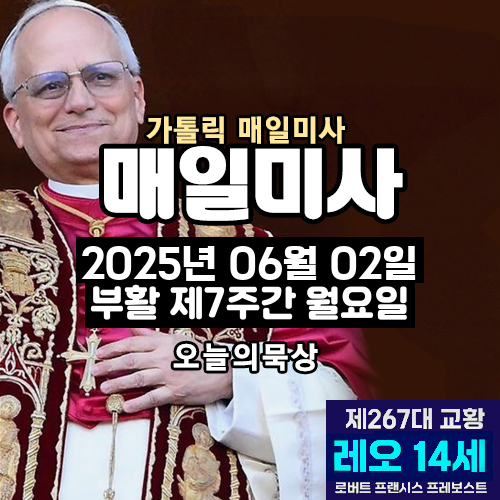 2025년 6월 2일 매일미사 부활 제7주간 월요일 오늘의 묵상