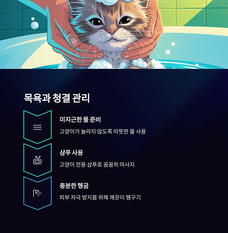 목욕과 청결 관리: 유용한 제품과 방법