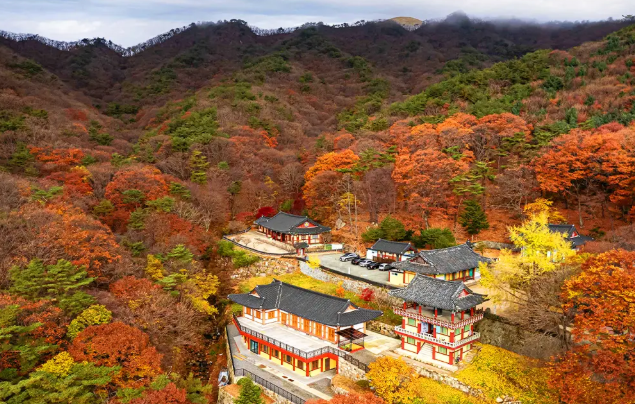 하늘에서 바라본 팔공산 절경