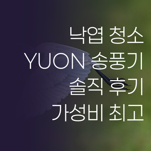 낙엽 청소 끝판왕 YUON 무선 송풍..