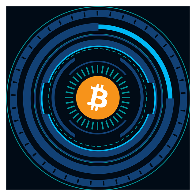 스테이블 코인 투자전망1