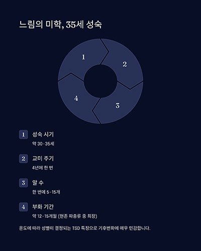 생식과 성장: 느림의 미학, 35세 성숙, 15개월 부화