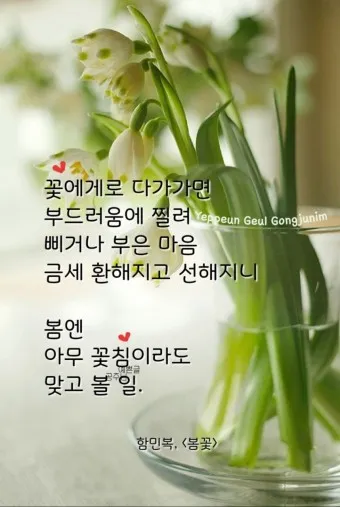 봄 이미지 일러스트 따뜻한 봄 꽃 예쁜 이미지_24