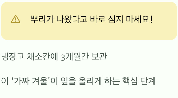 두 번째 관문, 차가운 겨울을 선물하세요