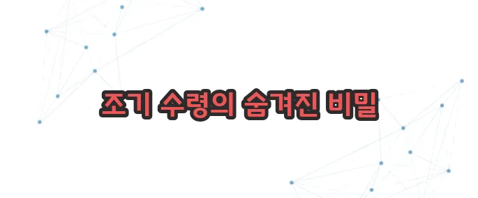 국민연금 조기 수령 조건 이보다 자세히 설명할순없다