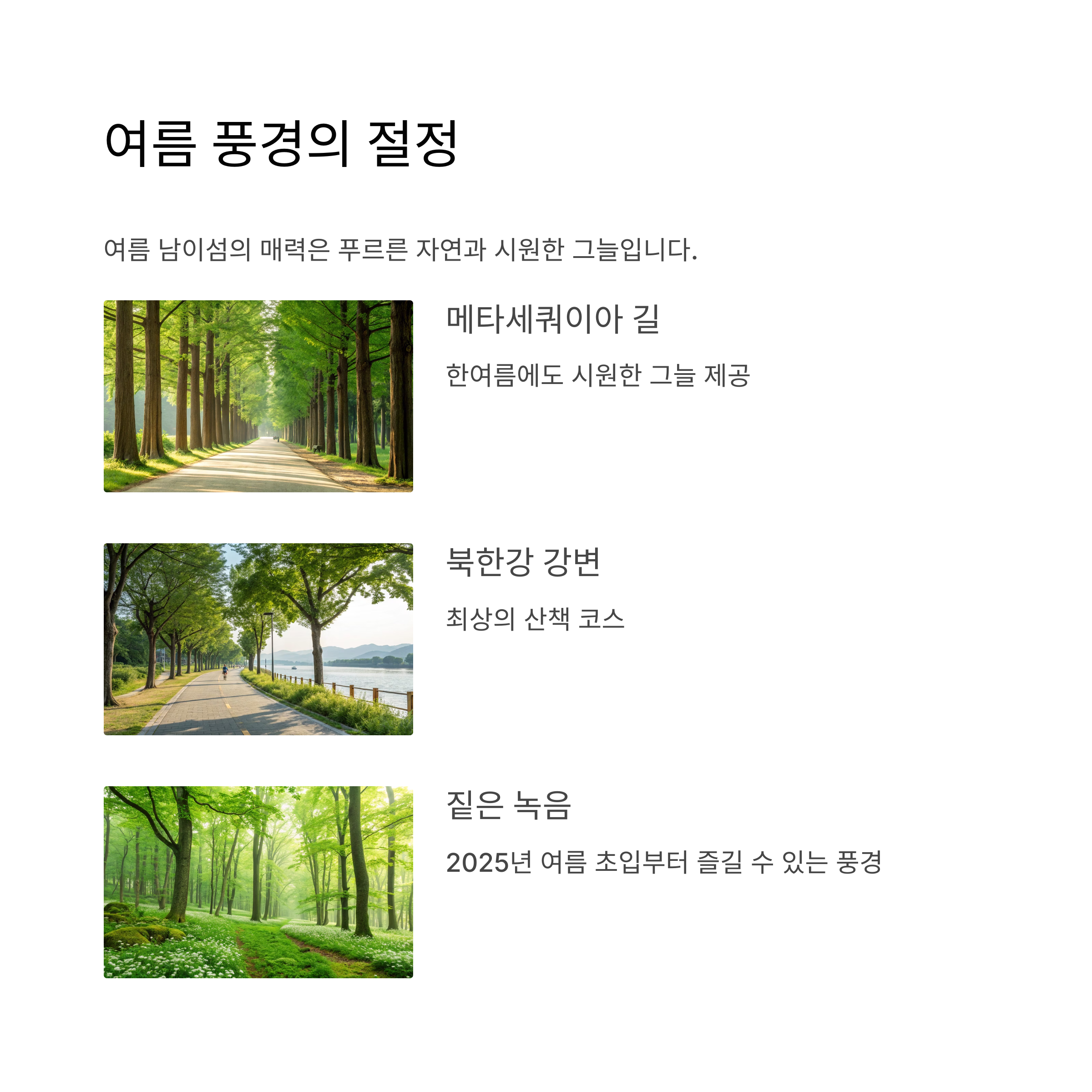 여름 풍경의 절정