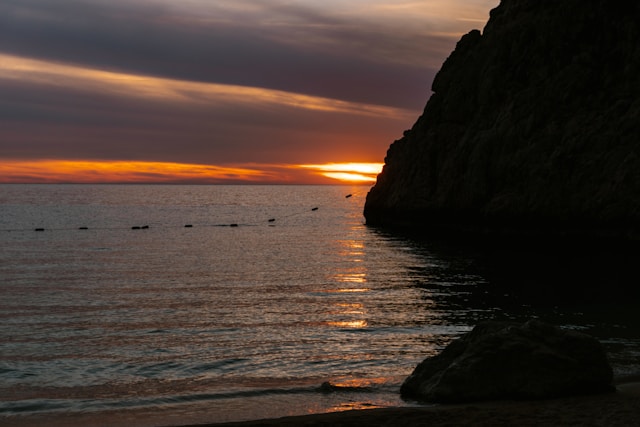 2026년 1월 1일 해돋이 시간 전국 총정리