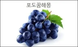 포도꿈해몽