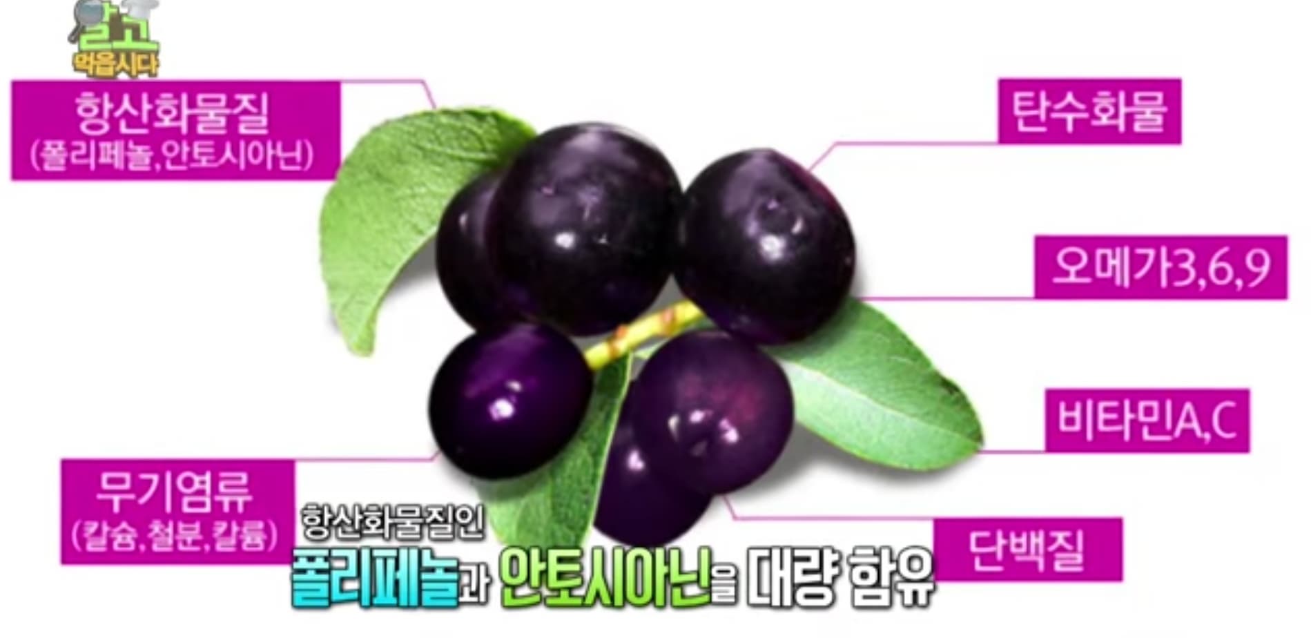 마키베리 영양성분