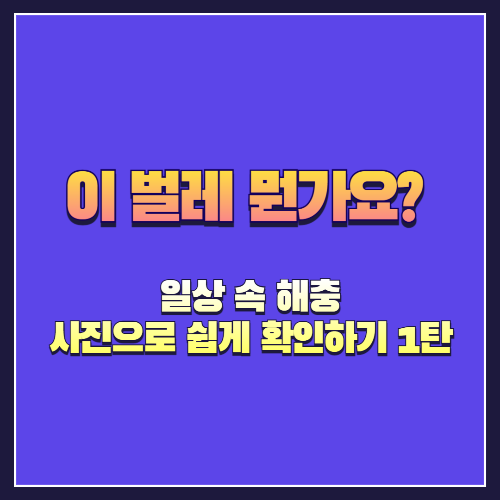 이 벌레 뭔가요? 일상 속 해충 사진으로 쉽게 확인하기 1탄
