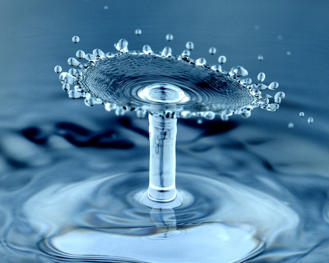 Water purifier