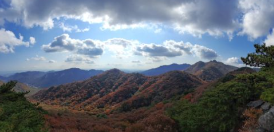 2025 계룡산 단풍 절정 시기 &amp; 등산코스 추천 안내 ❘ 충남 가을 명소