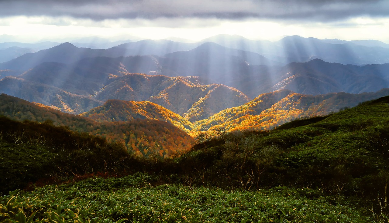 전라도 대표 산 관련 사진