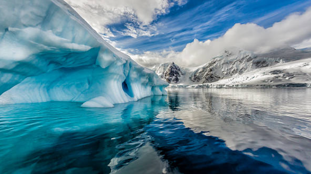극지방 생태계 보존 노력