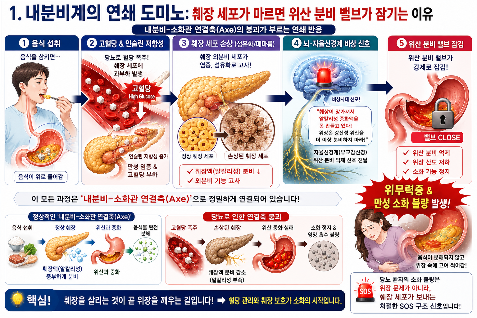 1. 내분비계의 연쇄 도미노
