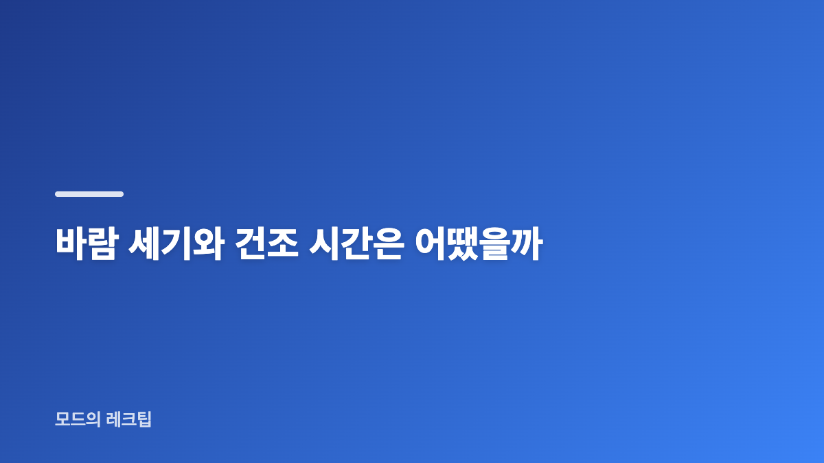 블라우풍트 헤어드라이기 에어이지 프로 BLP-HD7300 특징