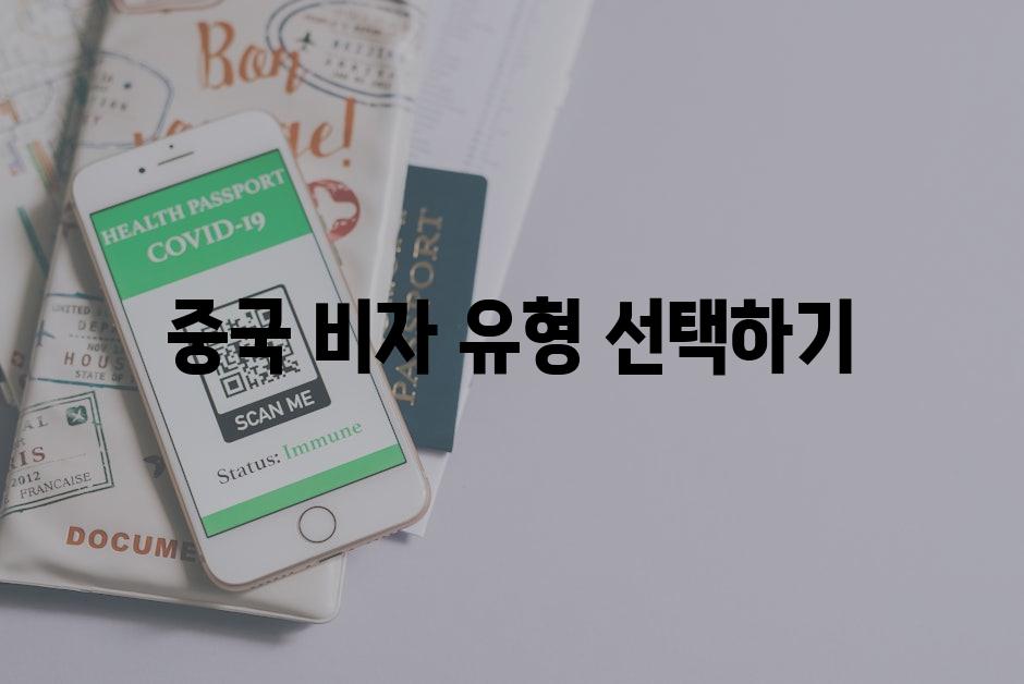 중국 비자 유형 선택하기