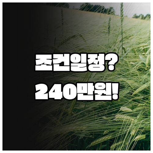 통영시 청년월세 지원 240만원 받는..
