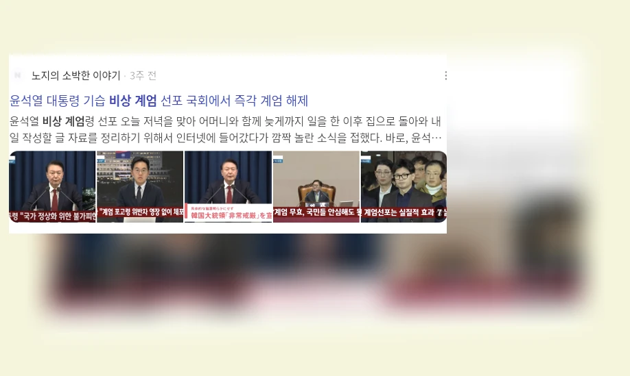 비상계엄_3_subsection