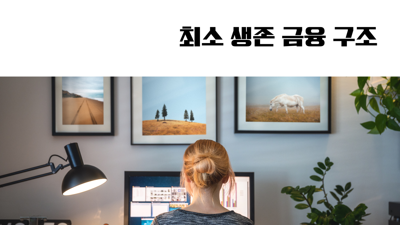 아이 셋 엄마가 만든 최소 생존 금융 구조