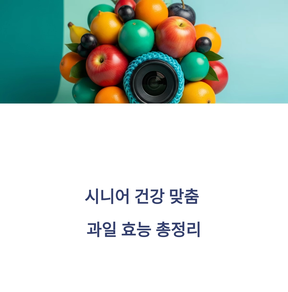시니어 건강에 좋은 과일 효능과 영양 정보 요약 이미지