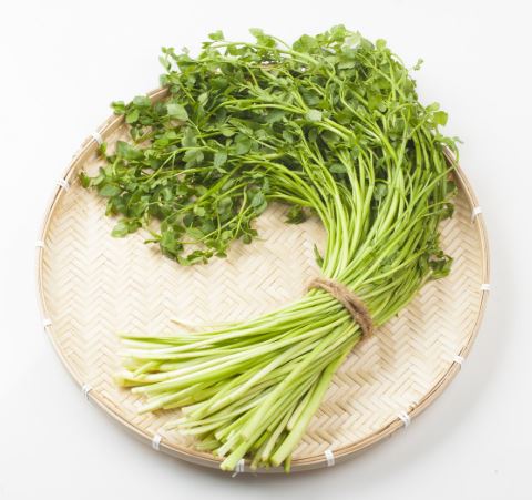 미나리 무침