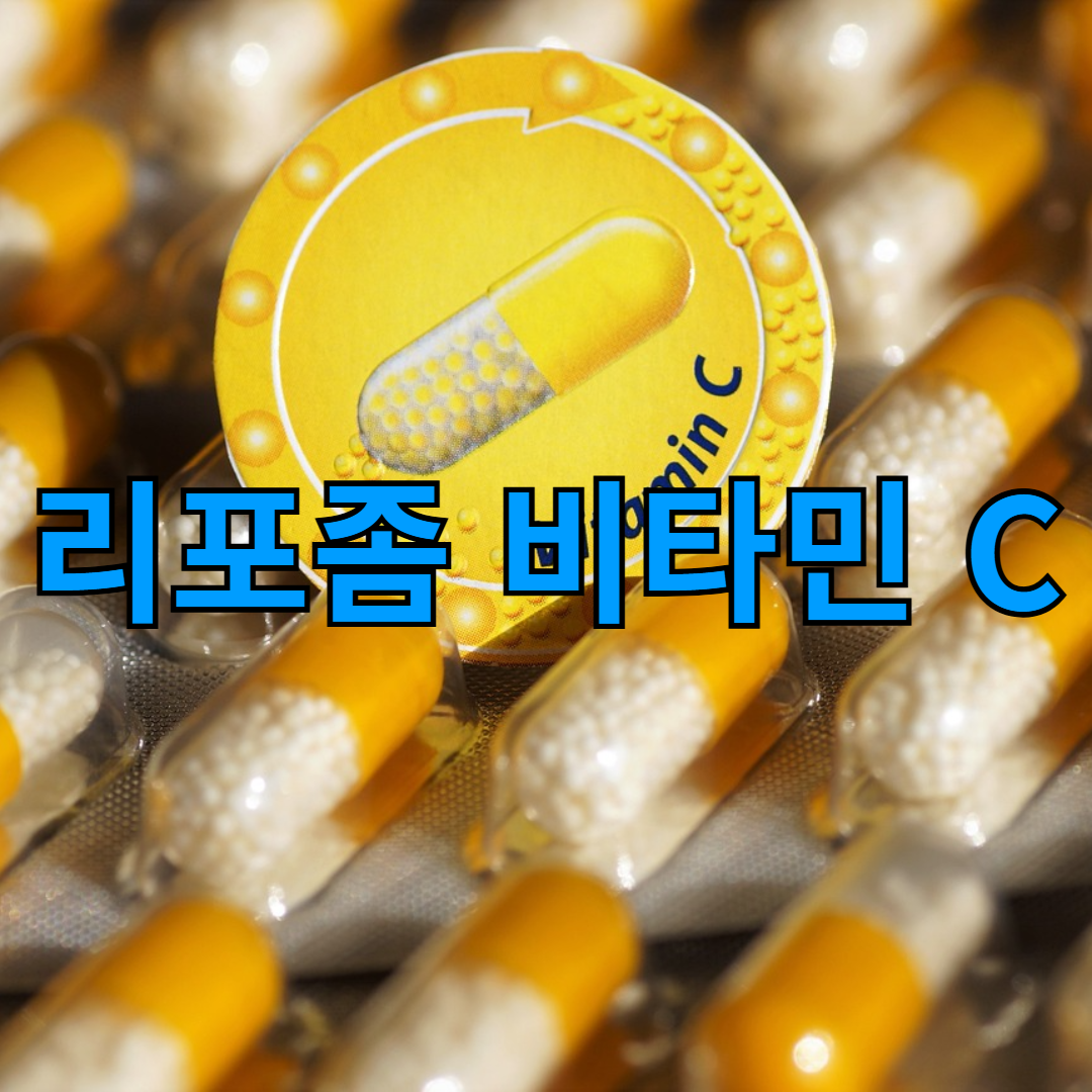 리포좀 비타민 C